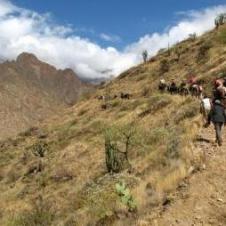Chachapoyas