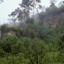 Chachapoyas