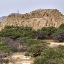 Forêt de Pomac à Chiclayo