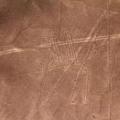 Géoglyphes de Nazca