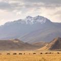 Paysage - Puno