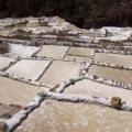 Salines de Maras - Vallée sacrée des Incas