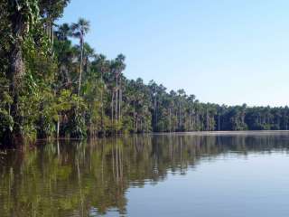 Amazonía: El Lago Sandoval.