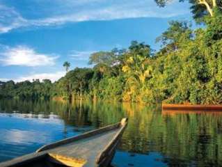 Amazonía: El Lago Sandoval.