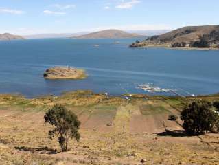 Salida hacia Bolivia y salida para un crucero por el lago Titicaca.