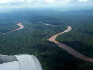 Selva lluviosa - Amazonía. - ¡Sólo bellos animales!