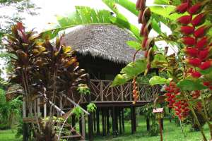 Discovering the Amazone in Lodge